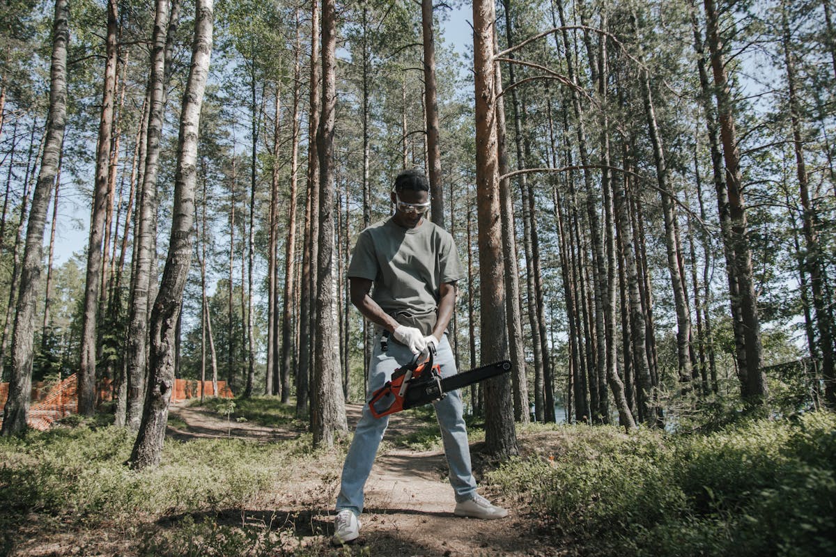 Gartenbäume schneiden